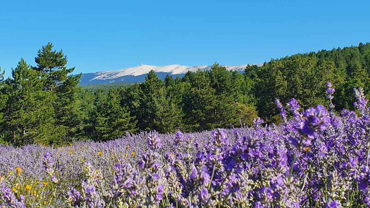 A Ventoux Yourte Monieux 外观 照片