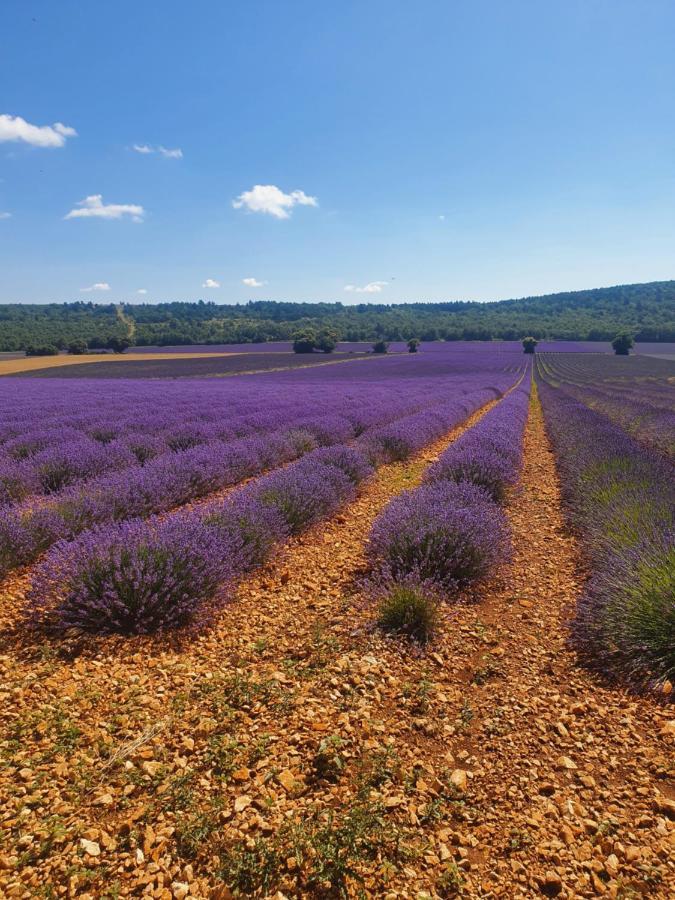 A Ventoux Yourte Monieux 外观 照片