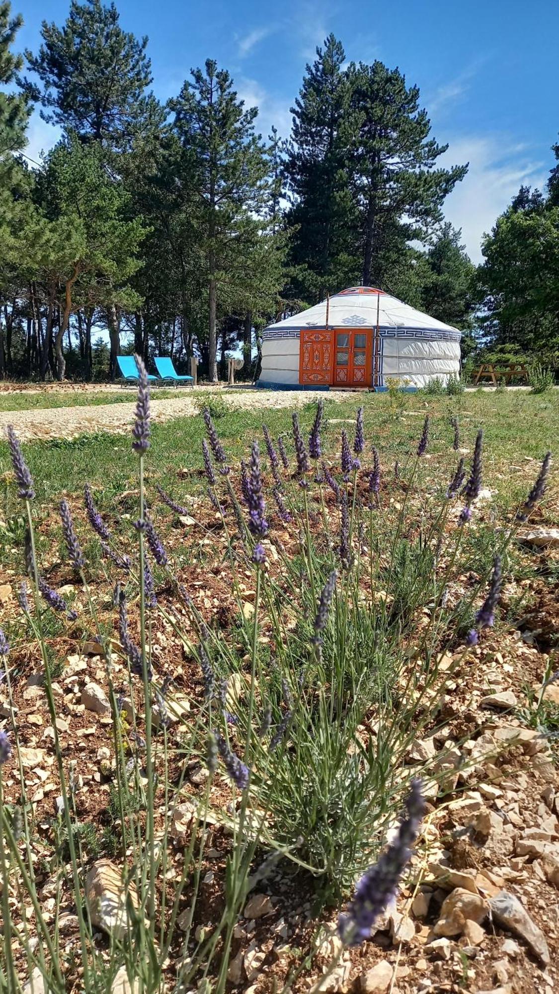A Ventoux Yourte Monieux 外观 照片